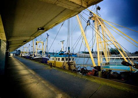 Visit Fish Market in Nieuwpoort 